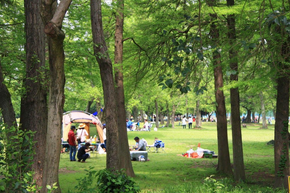 🌳 아키가세 공원 이미지 1